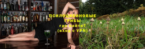 прущие грибы Алексеевка