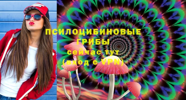 MDMA Premium VHQ Алзамай